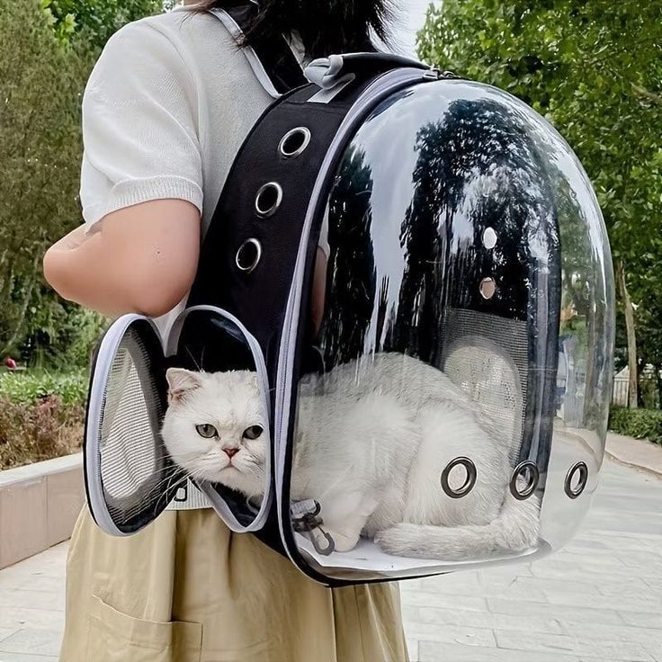 Travel