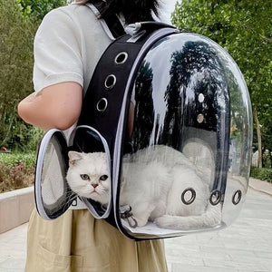 Travel