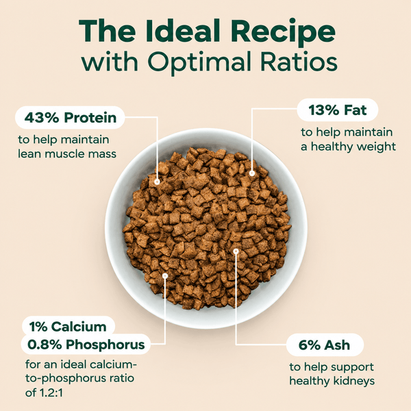 Premium Grain-Free Dry Food for Sterilized Cats